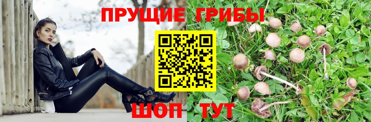 как найти закладки  Вход с VPN  Ухта  Галлюциногенные грибы MAGIC MUSHROOMS  Псилоцибиновые грибы Cubensis 